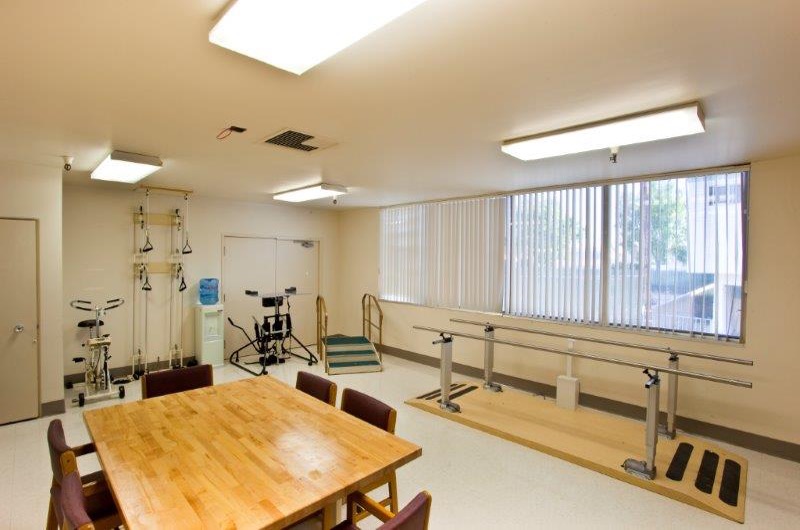 Physical Therapy - La Mirada