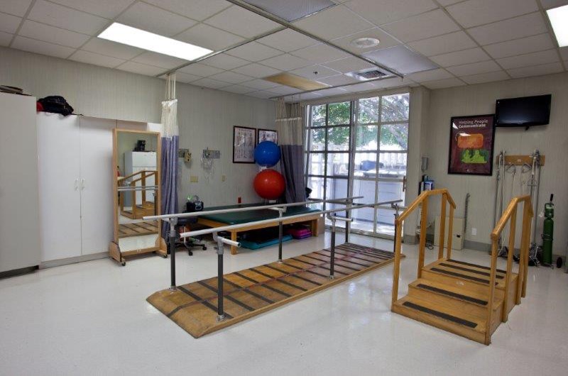 Physical Therapy - Los Angeles